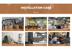 Moteur pour ligne de production complète de rôtissage, décorticage, aromatisation et enrobage de cacahuètes et de noix de cajou, 220V/380V 55KW, pour snacks - Product Image 6