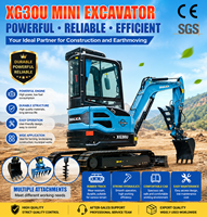 Mini-excavatrice SHANDING 2,5 tonnes Euro 5 CE EPA, micro-excavatrice sur chenilles pour verger, jardin, ferme, usage domestique, prix des mini-excavatrices