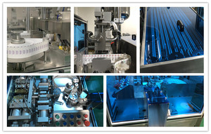 Macchina Automatica ZONELINK ad Alta Precisione per Riempimento <span class=keywords><strong>e</strong></span> Sigillatura di Supposte in PVC/PE con <span class=keywords><strong>Dimensioni</strong></span> Personalizzabili - Product Image 2