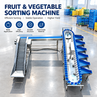 Industriële doos sorteermachine waterdichte kast geschikt voor natte fruit- en groenteverwerkingswerkplaats