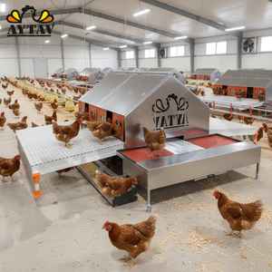 Nido de Acero Tipo H Automático para Gallinas, Nuevo AYTAV 240x490cm, Todas las Estaciones, 1 Año de Garantía - Product Image 5