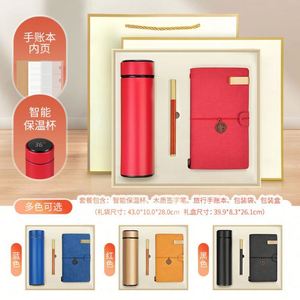 Juego de Regalos Promocionales Corporativos de Lujo 2025, Personalización con Logotipo, Opciones Multicolores, Diseño Moderno, Impresión en Serigrafía - Product Image 3