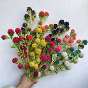 <span class=keywords><strong>Bouquet</strong></span> de boules de gomme douce séchées naturelles pour mariage bohème, douche nuptiale, arrangement floral, <span class=keywords><strong>d</strong></span>écoration <span class=keywords><strong>d</strong></span>'événements - Product Image 1
