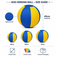 Housse de ballon de yoga et de Pilates de forme originale, nouvelle conception, pour chien et cheval
