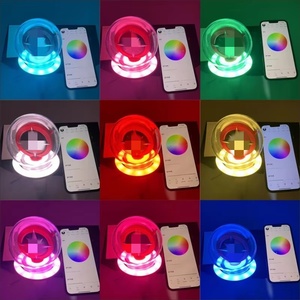Light Stick Ufficiale da Concerto Stray Kids Bastoncino Luminoso Seconda Generazione Ver.2 a LED a Batteria Ramadan Laurea - Product Image 3