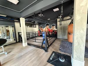 Bague de récompense en gros à vendre |   Ring de boxe de taille réglementaire de 20 pieds pour combats professionnels |   Ring de boxe de compétition pour salles de sport - Product Image 6