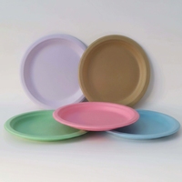 Assiette à dessert jetable de 9 pouces personnalisée, vaisselle de fête biodégradable écologique, ensemble de vaisselle aux couleurs personnalisées