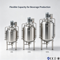 Cuve de mélange de liquides pour boissons en acier inoxydable sanitaire SS304, mélangeur homogénéisateur pour jus, boissons et lait, capacité 100L-5000L