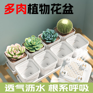 Macetas para Suculentas Qinfeng de 7.5cm X 8cm X 3cm, Macetas de Plástico Transpirables para Escritorio y Jardinería en Casa - Product Image 4