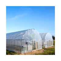 Serre tunnel multi-chapelles à faible coût CHOYUEH en film PE, facile à installer pour la culture de légumes et de fleurs