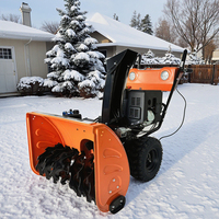 Volnos extérieur jardin sans fil souffleuse à neige balayeuse Portable Diesel Mini prix Ride Machine usage domestique