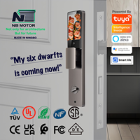 NB Motor Tuya WiFi Reconnaissance faciale Interphone actif Serrure de porte Poignée intelligente Accès sans clé Contrôle APP pour hôtels appartements