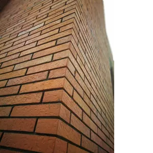 Perforato mattoni di argilla per esterni rivestimento della parete decorazione