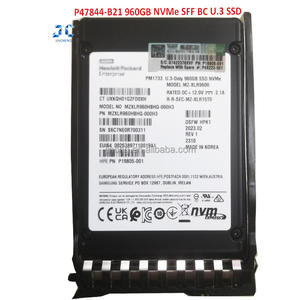 P47844-B21 P48223-001 960GB ดิสก์เซิร์ฟเวอร์ NVMe 6G SSD - Enterprise - Product Image 1