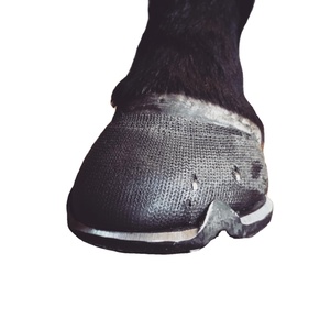 ชุดปฐมพยาบาลผ้าพัน<span class=keywords><strong>แผล</strong></span>ยืดหยุ่นได้สำหรับวัวแกะและม้า - Product Image 6