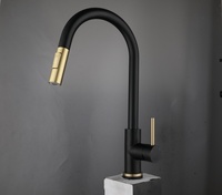 Robinet de cuisine classique de style européen en acier inoxydable 304 avec capteur céramique, flexible, extractible, pivotant, finition brossée pour la maison et l'hôtel
