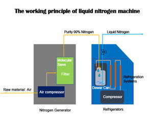 Machine de production d'azote liquide entièrement automatique, mobile, 60L/jour, générateur d'azote liquide de petite taille - Product Image 6