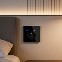 Interrupteur intelligent Matter multi-certification CE FCC RoHS 2 gangs 220V, norme de sécurité mondiale pour les ventes internationales