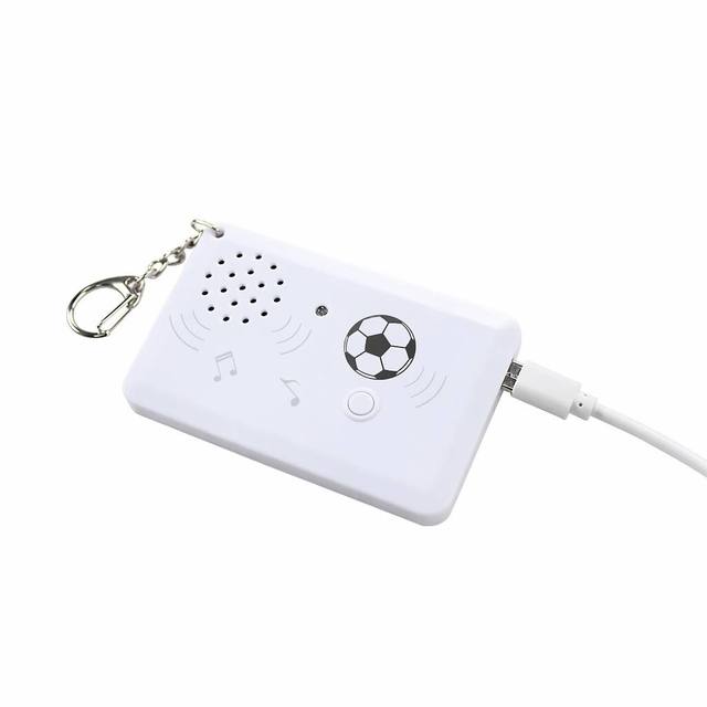 Factory Wholesale Custom Type-C Charging Music Keychain Rechargeable Sound Keyring with Voice Recording for Promotional Gifts