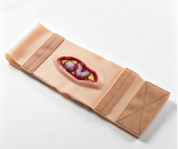 Cinta de simulación de incisión quirúrgica portátil de material PET para modelo de maniquí de enseñanza médica TL-008 de Tianlian