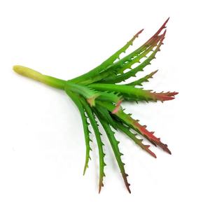 The ฟันเลื่อย aloe ตกแต่งภายในบ้าน mini succulent พืช - Product Image 2
