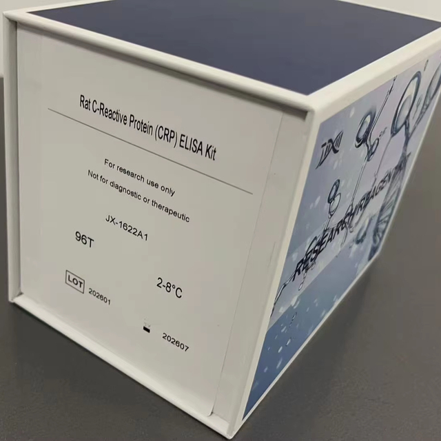 Rat C-Reactive Protein CRP ELISA Kit for Research Use Only to Quantify CRP in Rat Serum and Plasma Samples