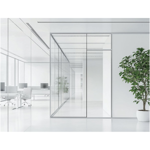 Graki Partizione in Vetro per Ufficio in Alluminio da 30mm - Design Sottile a Strato Singolo - Product Image 1
