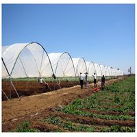 Serre tunnel économique GT Blueberry Green House pour plantes