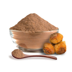 Extracto de Hongo Agaricus Blazei Murill, Polisacárido al 30%, Extracto de Agaricus Blazei - Product Image 2