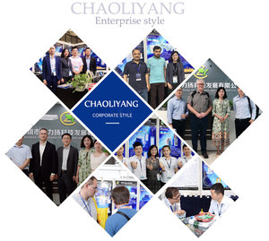 Factory 3.7v Li Po Polymer <strong>Battery</strong> 401720 95mah 501220 401225 90mah Rechargeable Li-Ion <strong>Batteries</strong> for Robot Toy - Product Image 6