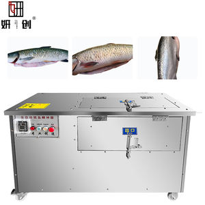 Máquina de Limpeza de Escamas Elétrica Mais Vendida, Máquina Automática de Processamento de Peixe e Carne, Máquina de Escamas de Peixe para Exportação Mais Vendida - Product Image 1