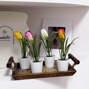 Tulipes artificielles en pot, 10-30 cm de haut, simulation réaliste, décoration de bureau moderne, décoration de printemps, fleurs en soie PE - Product Image 3