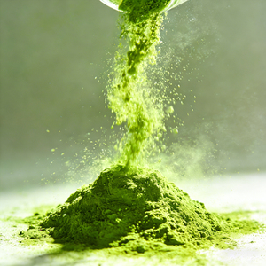 Té Verde Orgánico en Polvo Cultivado en Sombra, Certificado USDA y UE, Grado Ceremonial Matcha, Precio de Fábrica al por Mayor - Product Image 3