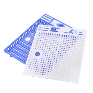 1 pieza de <span class=keywords><strong>jaula</strong></span> Queen con hebilla de bazo puede evitar que el <span class=keywords><strong>rey</strong></span> se escape, controlar <span class=keywords><strong>la</strong></span> cubierta <span class=keywords><strong>del</strong></span> <span class=keywords><strong>Rey</strong></span>, evitar morder - Product Image 1