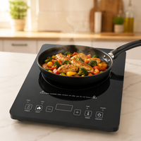 Mini-cuisinière à induction portable pour la maison et l'hôtel, réchaud électrique avec panneau en verre pour camping-car, petit appareil électroménager