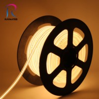 Tira de LED COB de Alto Voltaje Raymates de 50 m, Conexión Directa a CA, Sin Fuente de Alimentación, para Iluminación Decorativa de Larga Duración