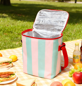 ग्रीष्मकालीन पुनः प्रयोज्य फैशन पर्यावरण के अनुकूल 14 एल इन्सुलेट पिकनिक कूलर बैग - Product Image 1
