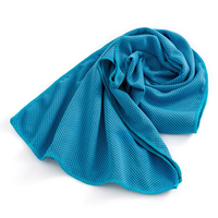 Haute qualité exercice rafraîchissant personnalisé 55% Nylon Gym Fitness refroidissement Sport serviette microfibre sport serviette