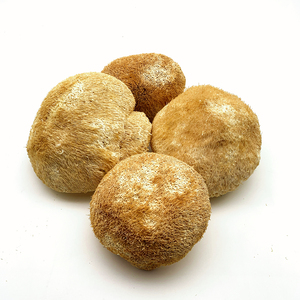 Funghi Criniera di Leone e Pom Pom Essiccati all'Aria 1kg Confezionati Sottovuoto in Contenitore di Vetro Dimensione 5-10cm - Product Image 1