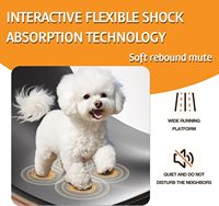 Tapis roulant électrique pour chien avec grand écran LCD, équipement d'exercice pour animaux de compagnie, pliable, pour l'intérieur et l'extérieur