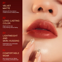 KORMESIC Marque Privée 3.5g Rouge à Lèvres Mat Effet Brume Douce Bio Coréen aux Fleurs Longue Tenue Couleur Velours Léger