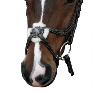 Brida Inglesa con Cabezal Anatómico y Narquileras de Salto, Acolchada Suave, de Cuero Genuino Hecha a Mano para Caballos - Product Image 6