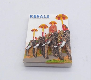 راتنج ثلاثي الأبعاد مغناطيس ثلاجة مجموعة كيرالا تذكارية راتنج مشغولات يدوية - Product Image 2