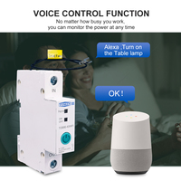 Disjoncteur intelligent WiFi 63A sur rail DIN, interrupteur intelligent, télécommande par application Ewelink pour maison intelligente, 18 mm 63A sans fonction de mesure