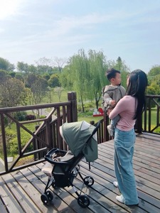 Siêu nhẹ mọi địa hình Ô Liu Xanh Xe đẩy em bé phát triển với bé 0-3 tuổi - Product Image 5