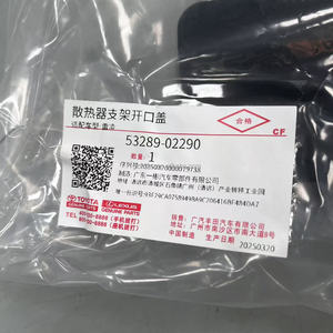 OEM 53289 02290 tản nhiệt khung mở bao gồm các bộ phận cơ thể ban đầu cho levin/Hybrid cài đặt <span class=keywords><strong>GAC</strong></span> TOYOTA (gr) 3 tháng CN; gua 2014- - Product Image 4