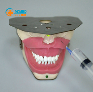 Modelo de Simulación de Anestesia con Alerta Audible para Escuelas y Hospitales - Product Image 2