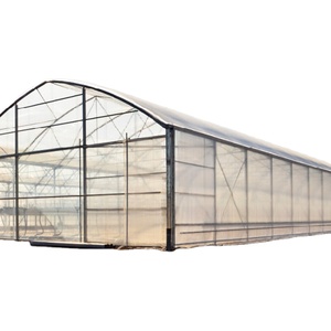 Serra moderna del tunnel del bordo del pc di coltivazione del fungo isolata doppio arco dell'azienda agricola di MYXL - Product Image 1