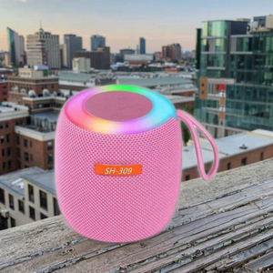 Big Bass <span class=keywords><strong>Audio</strong></span> 4 Ohm 10 Midrange 15 12 2 pulgadas Subwoofer altavoz teléfono al aire libre Dj fiesta micrófono batería Mini Woofer REPRODUCTOR DE <span class=keywords><strong>Audio</strong></span> - Product Image 5