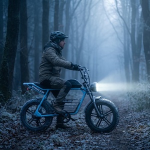 จักรยานเสือภูเขาไฟฟ้า 7 สปีด พร้อมหน้าจอ LCD สำหรับการขี่กลางแจ้งและล่าสมบัติ - Product Image 4